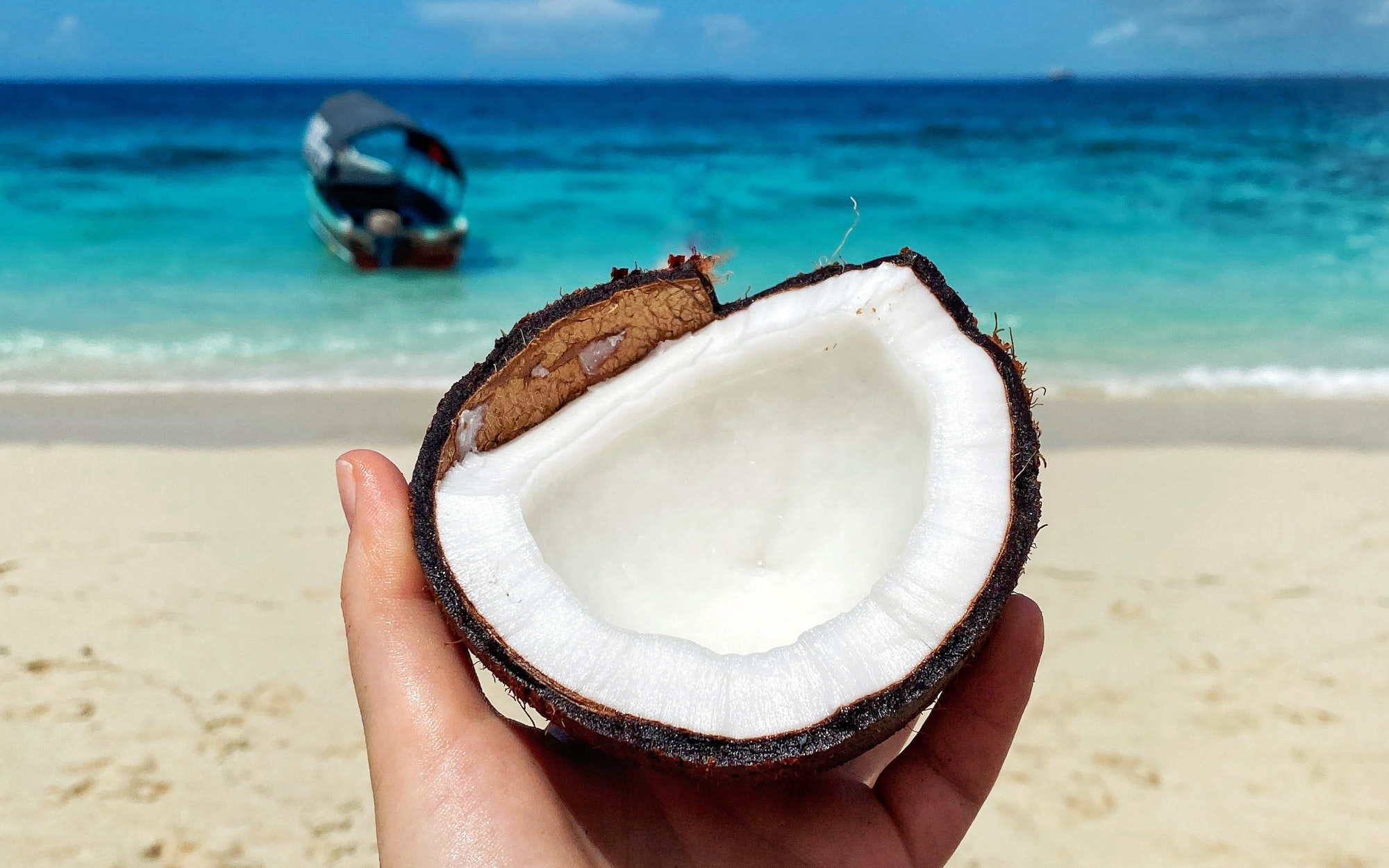 Zanzibar Activities